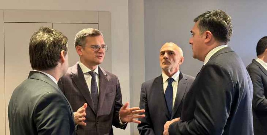 Ukraine's foreign minister describes EU protection as herd instinct