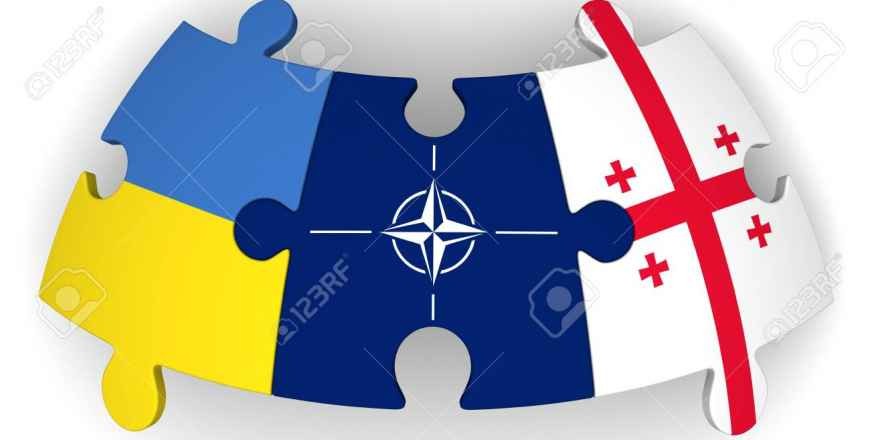 Relevance of the NATO Summit for Ukraine and Georgia