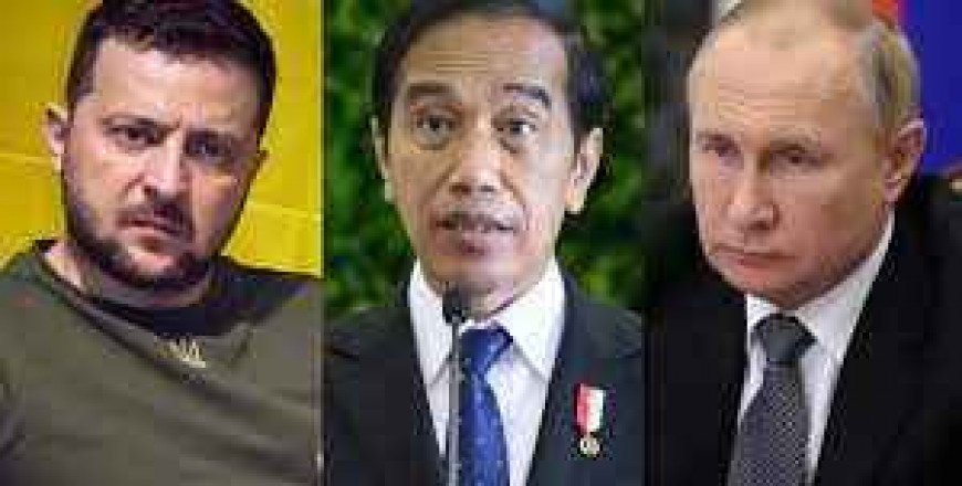 Indonesian president offers to take message from Ukraine's leader to Putin