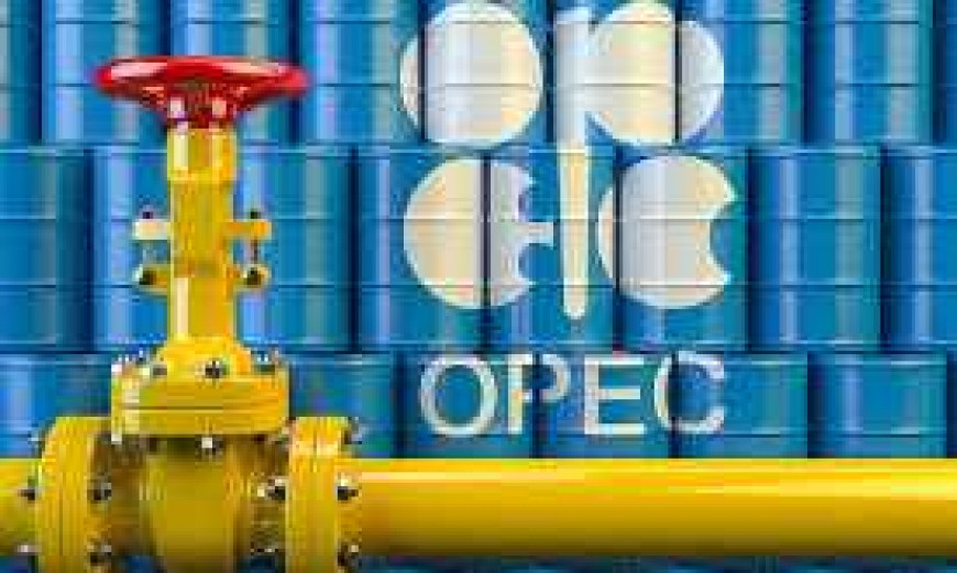 Diplomacy in support of the global economy: OPEC+ deal, supported by the G20