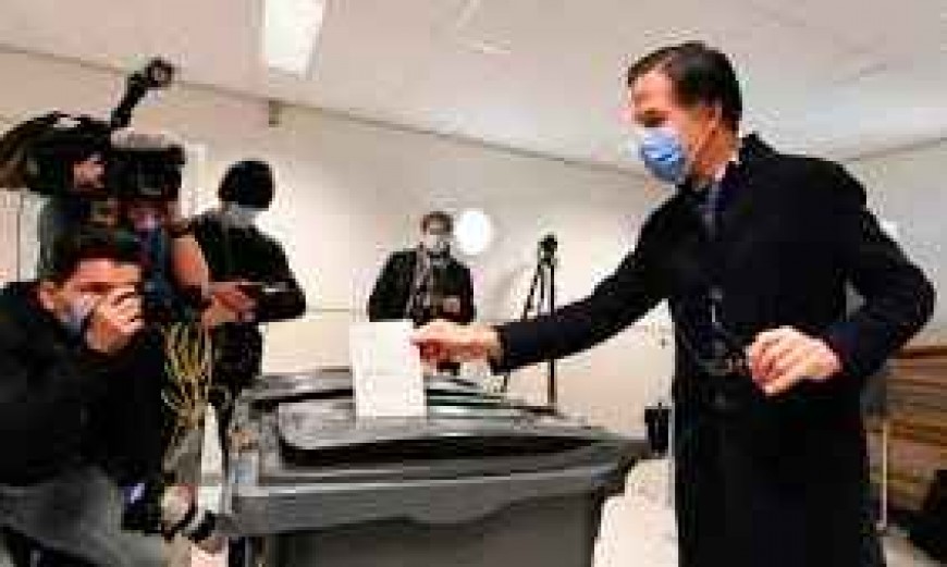 Alegerile parlamentare din Olanda